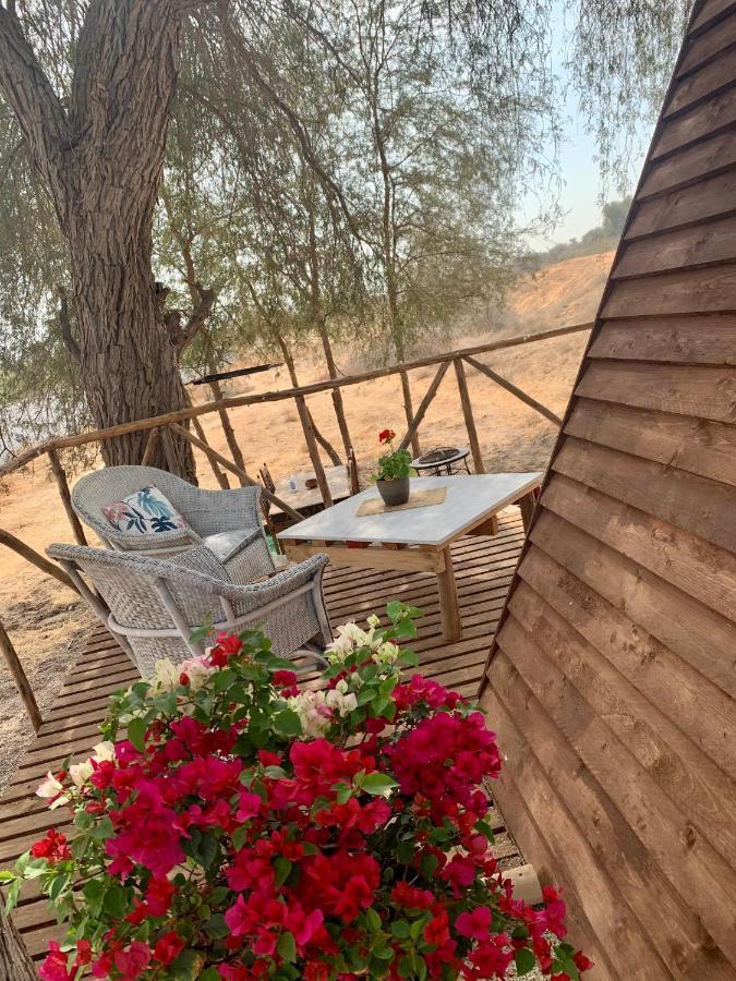 Rak Glamping 호텔 라스알카이마 외부 사진