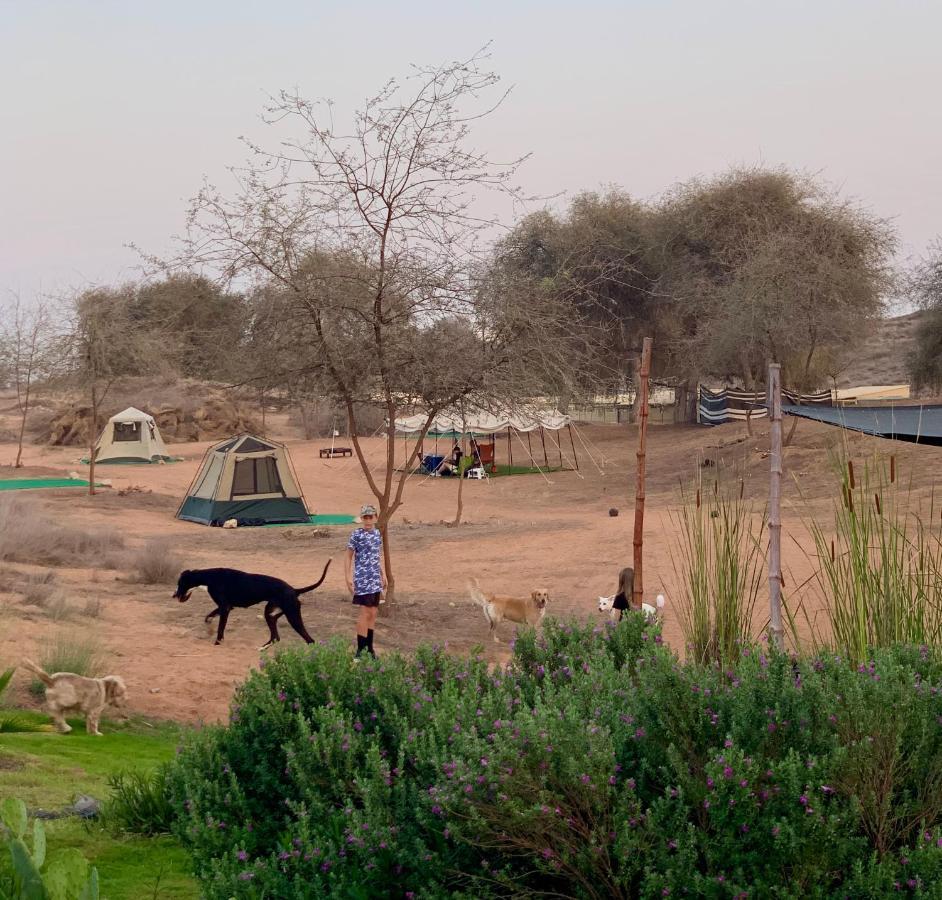 Rak Glamping 호텔 라스알카이마 외부 사진